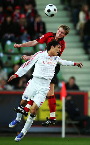 疑是其职业 疑是其职业