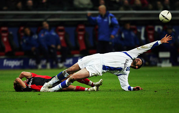 当年在引进 当年在引进