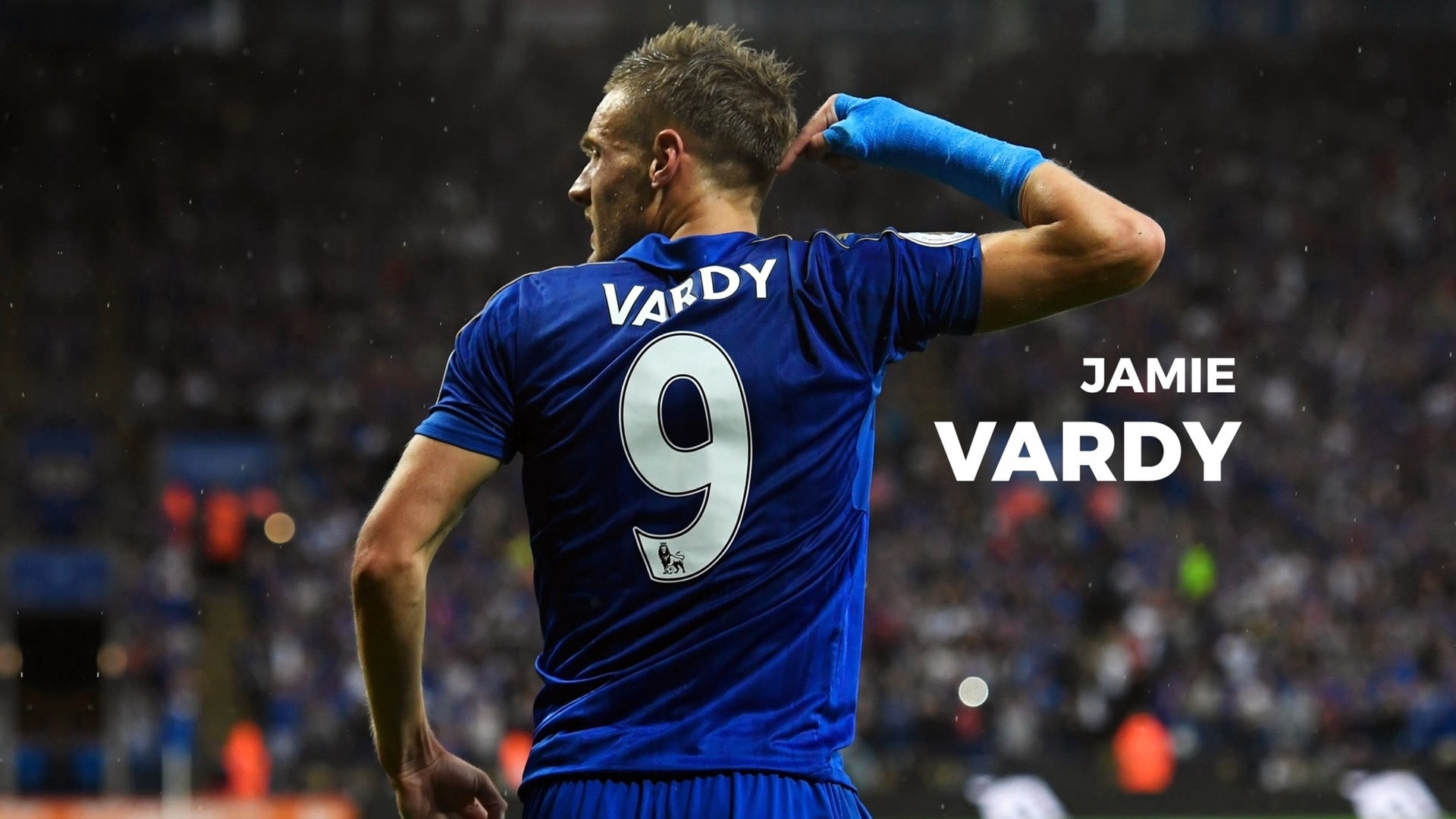 这种安排不 这种安排不